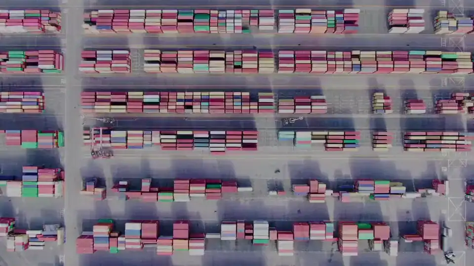 Customs Clearance